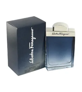 Subtil edt 100ml
