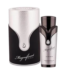 Magnificent Pour Homme edp 100ml