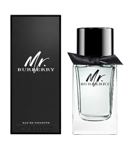 Mr. Burberry edt 100ml