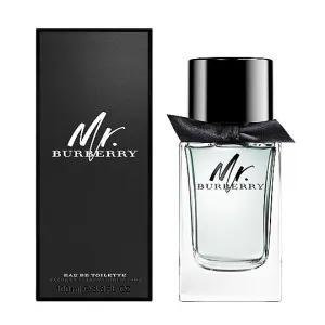 Mr. Burberry edt 100ml