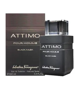 Attimo Pour Homme Black Musk edt 100ml