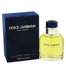 Dolce Gabbana Pour Homme edt tester 125ml